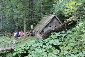 Mletje žita v Žagerskem mlinu